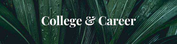 College and Career Banner
